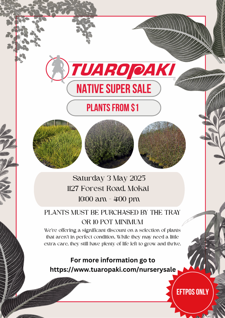 Green & Beige Modern Elegant Illustrated Plants End Of Year Sale Poster (2)